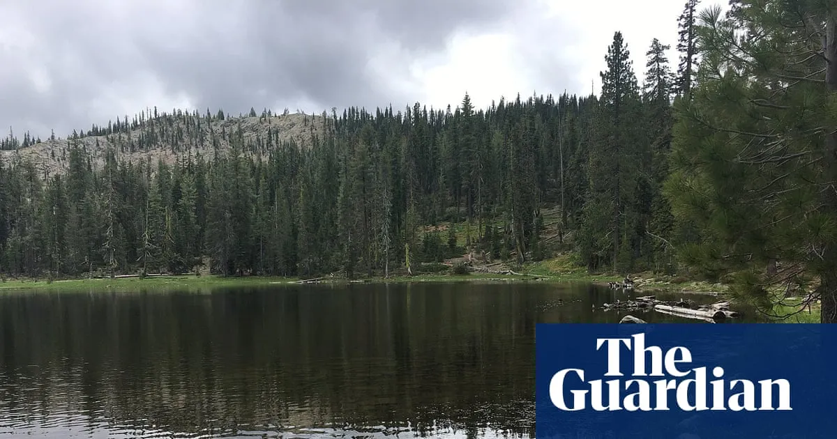 Kidnapped US Forest Service employees released after more than 12 hours, say authorities