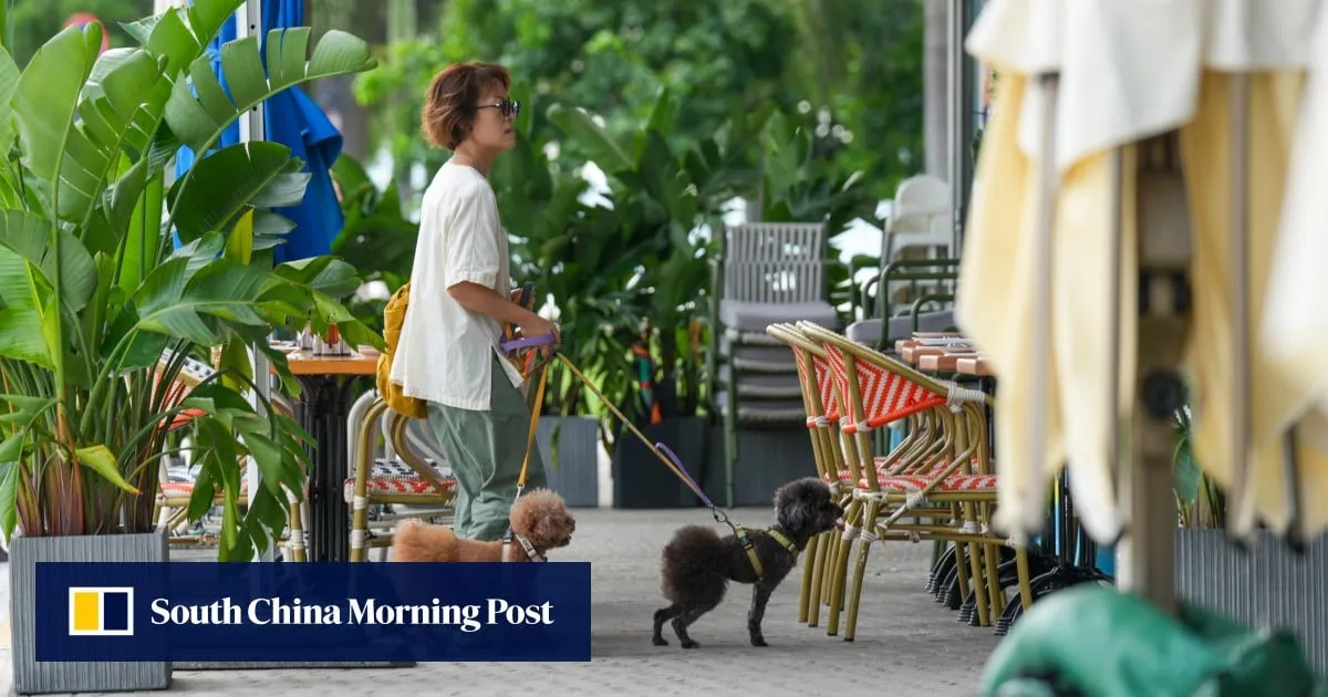 Brunch with your bichon frise? Some dog owners say pet dining off to ruff start