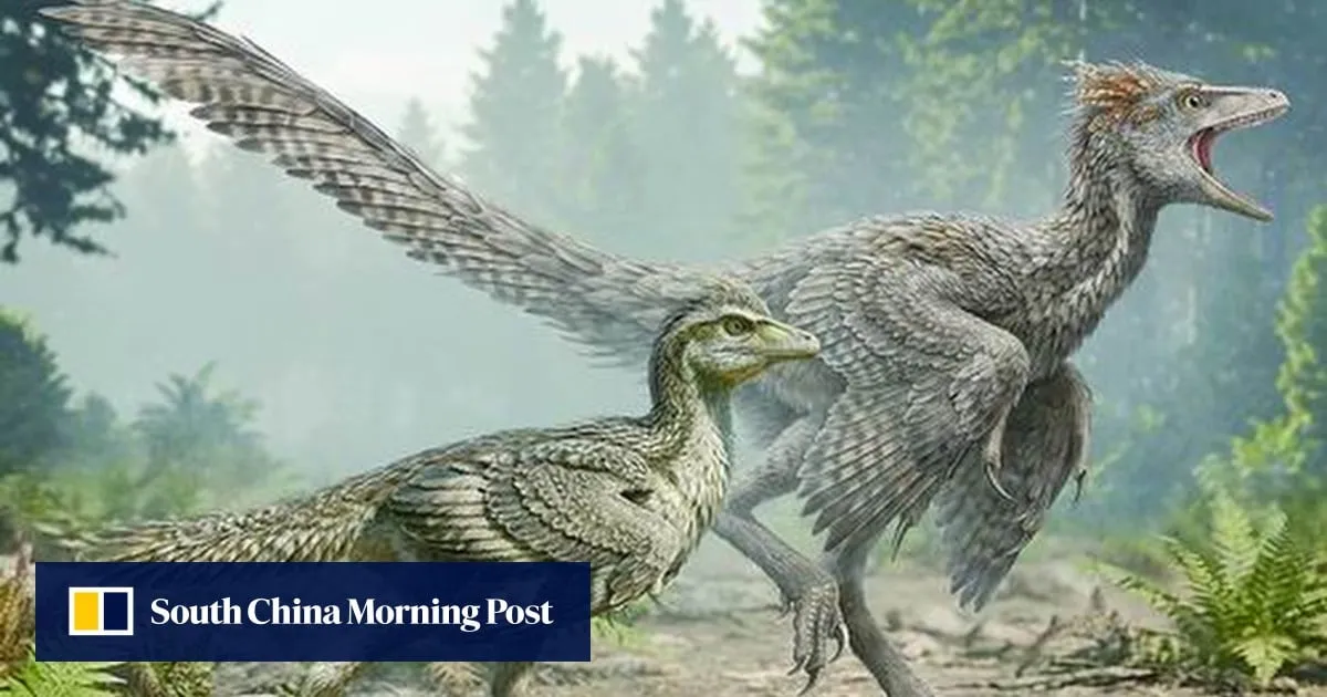 Chinese fossil find shows birds shed their dinosaur tails step by step