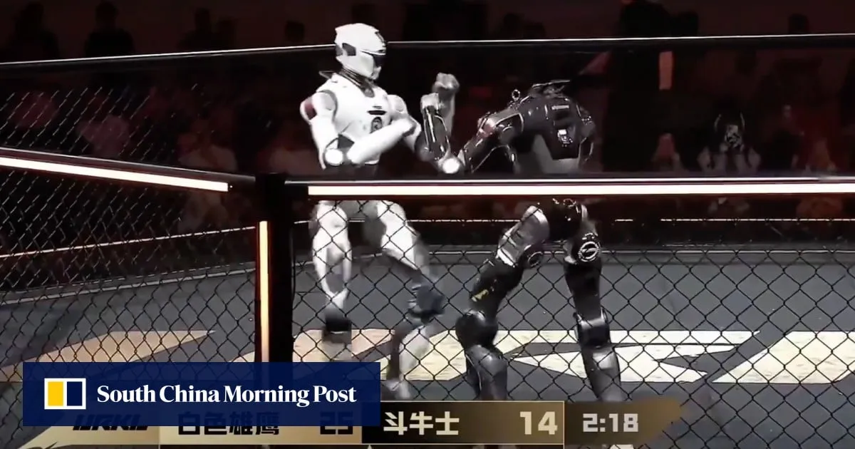 Robot wars: MMA bout between humanoids leaves 1 without a head, fans stunned