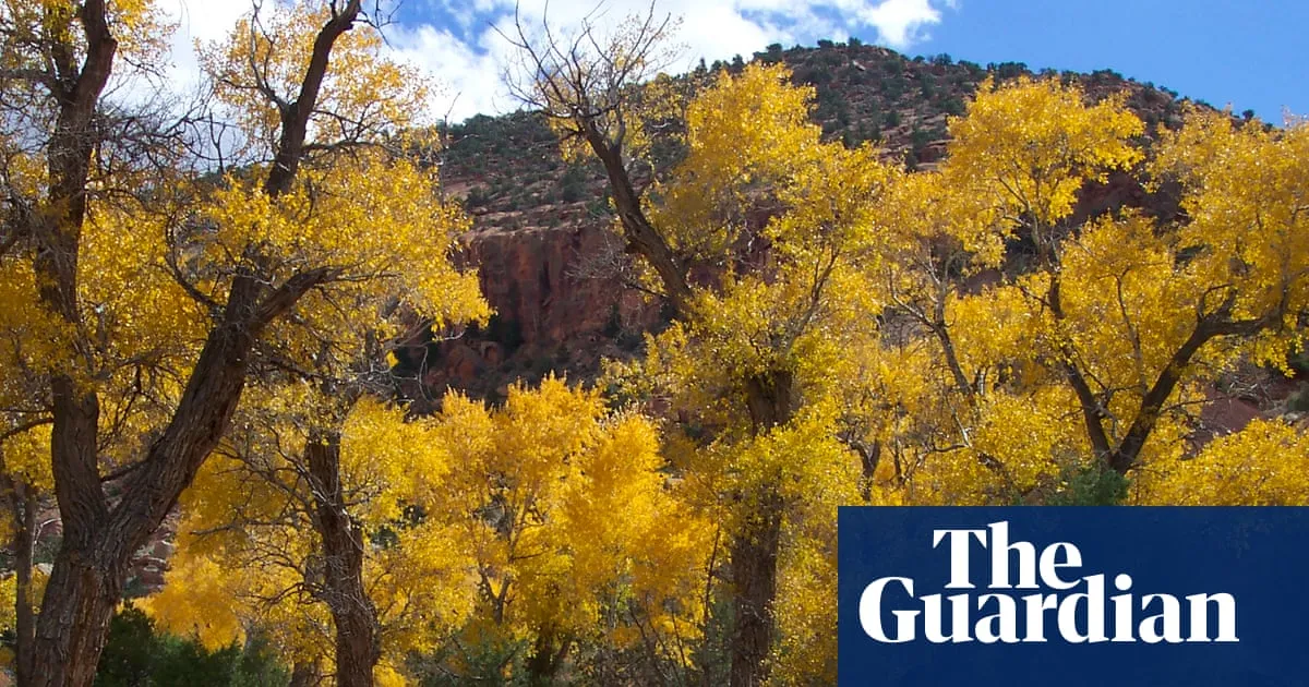 Five family members found dead after flash flood in Utah canyon, police say