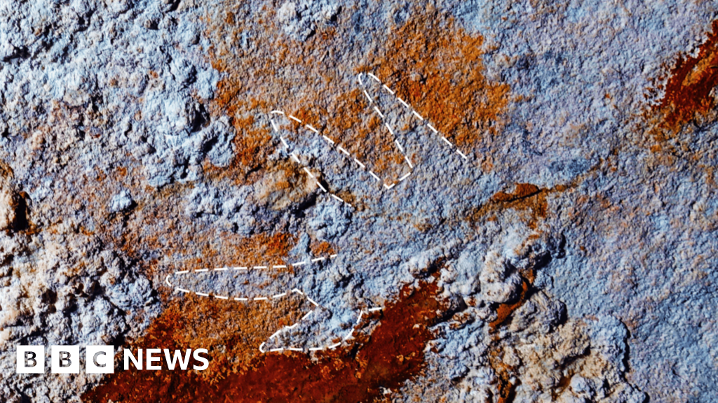 Oldest cave painting of red claw hand  could rewrite human creativity timeline