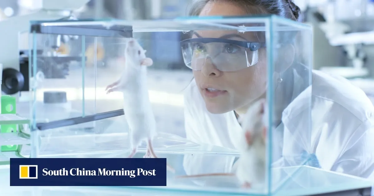 How electroacupuncture calms inflammation and the super microscope that showed it