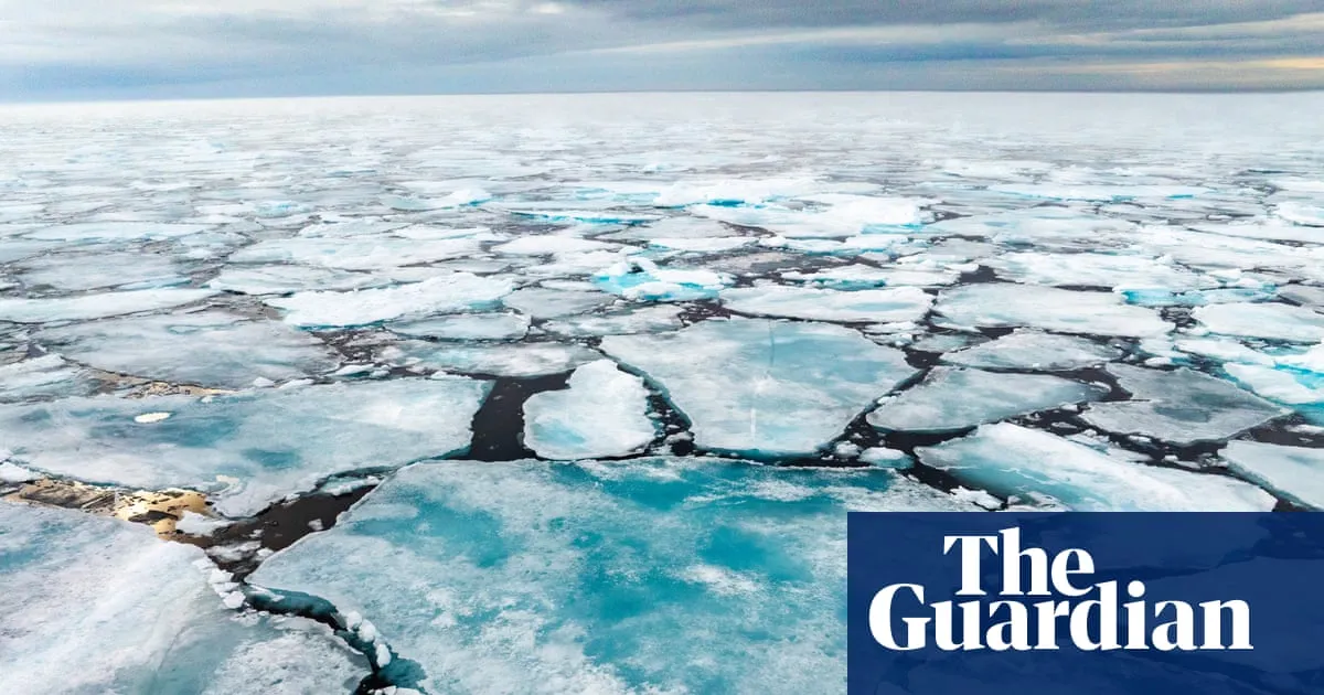 Slowdown in Arctic ice melt ends after largest winter decline on record