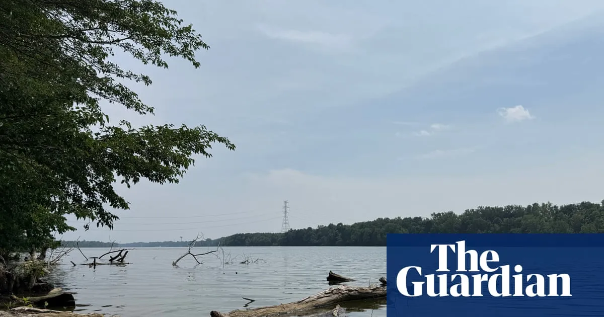 Five people die in attempt to save struggling swimmer in Ohio river