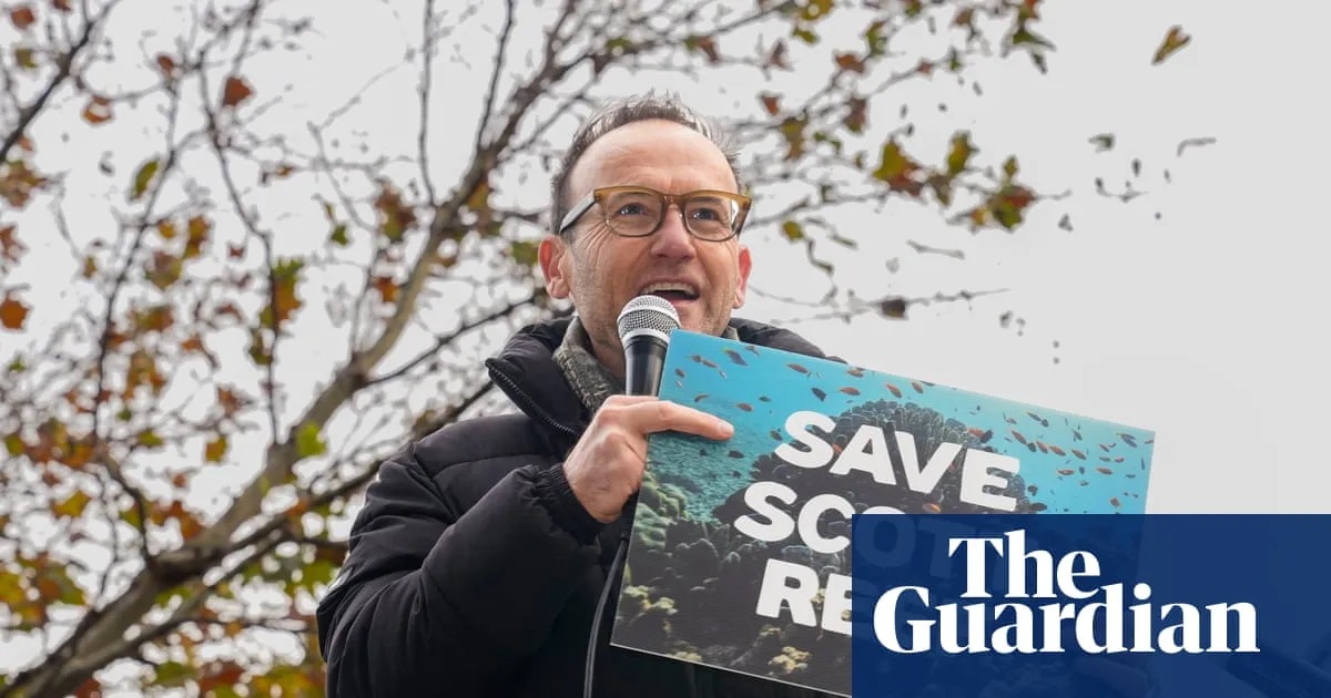 Climate and rock art advocates take on Woodside’s ‘carbon bomb’ WA gas project in federal court