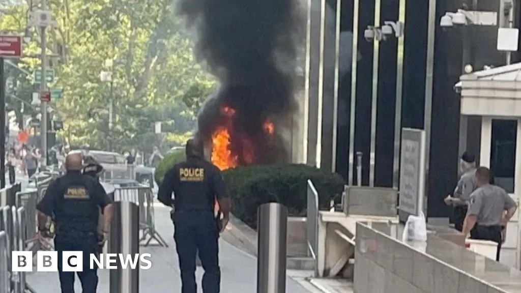 'Anti-ICE' army veteran started fire outside Manhattan federal building, say officials