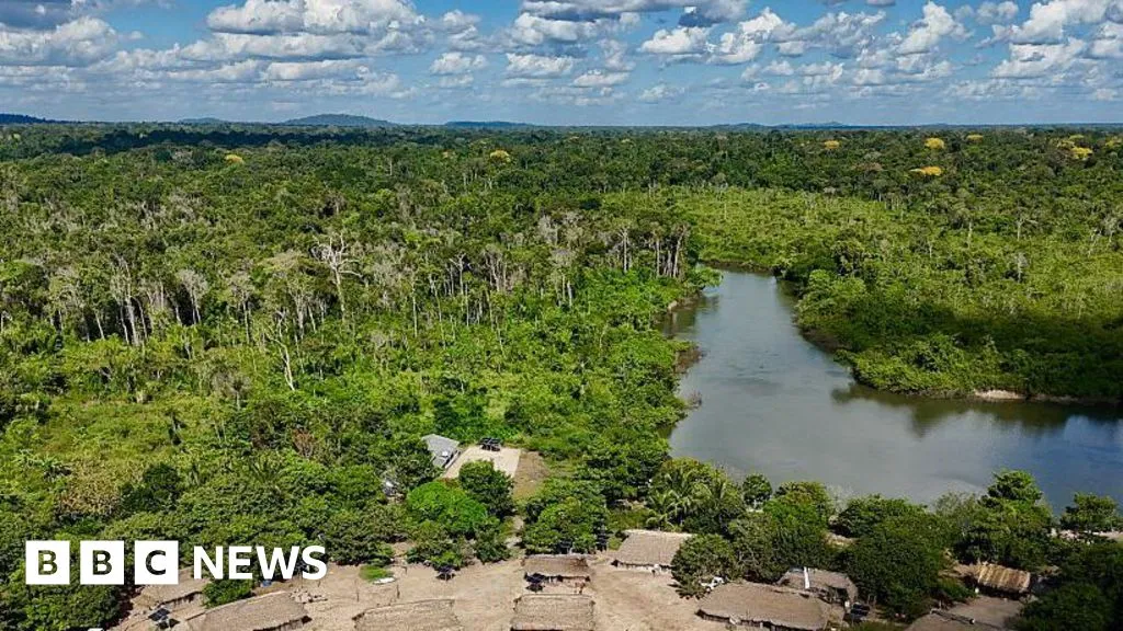 Brazil's Amazon sees sharp decline in size of area burned in 2025