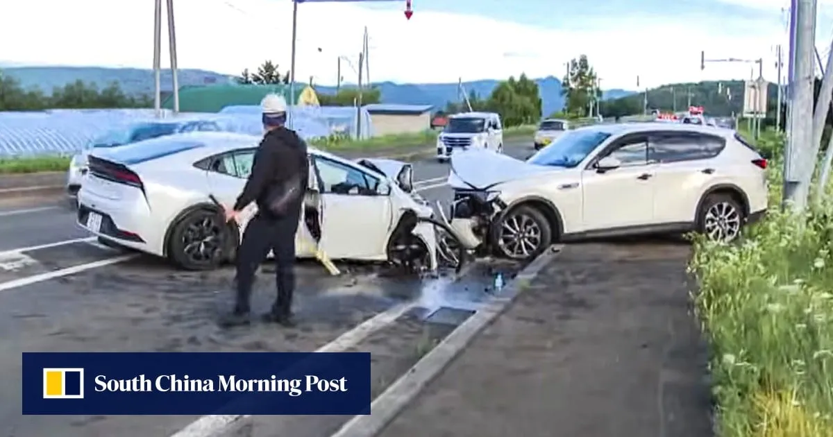 How should Hongkongers prepare for road trips? Experts weigh in after Japan accidents