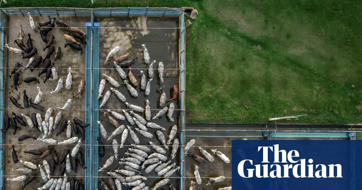 ​World largest meat company faces legal challenge over green credentials of $6bn global expansion