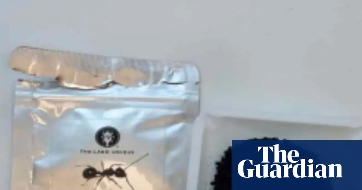 Michelin-starred restaurant owner in South Korea faces jail for serving ants in dessert