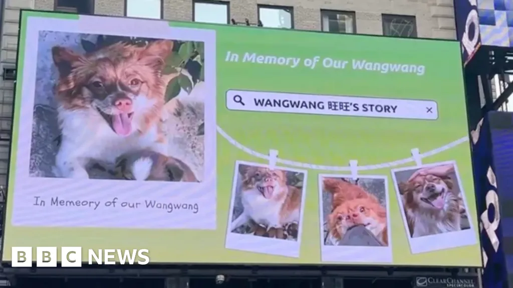 Blocked by censors, China's animal lovers take fight against abuse offline and overseas