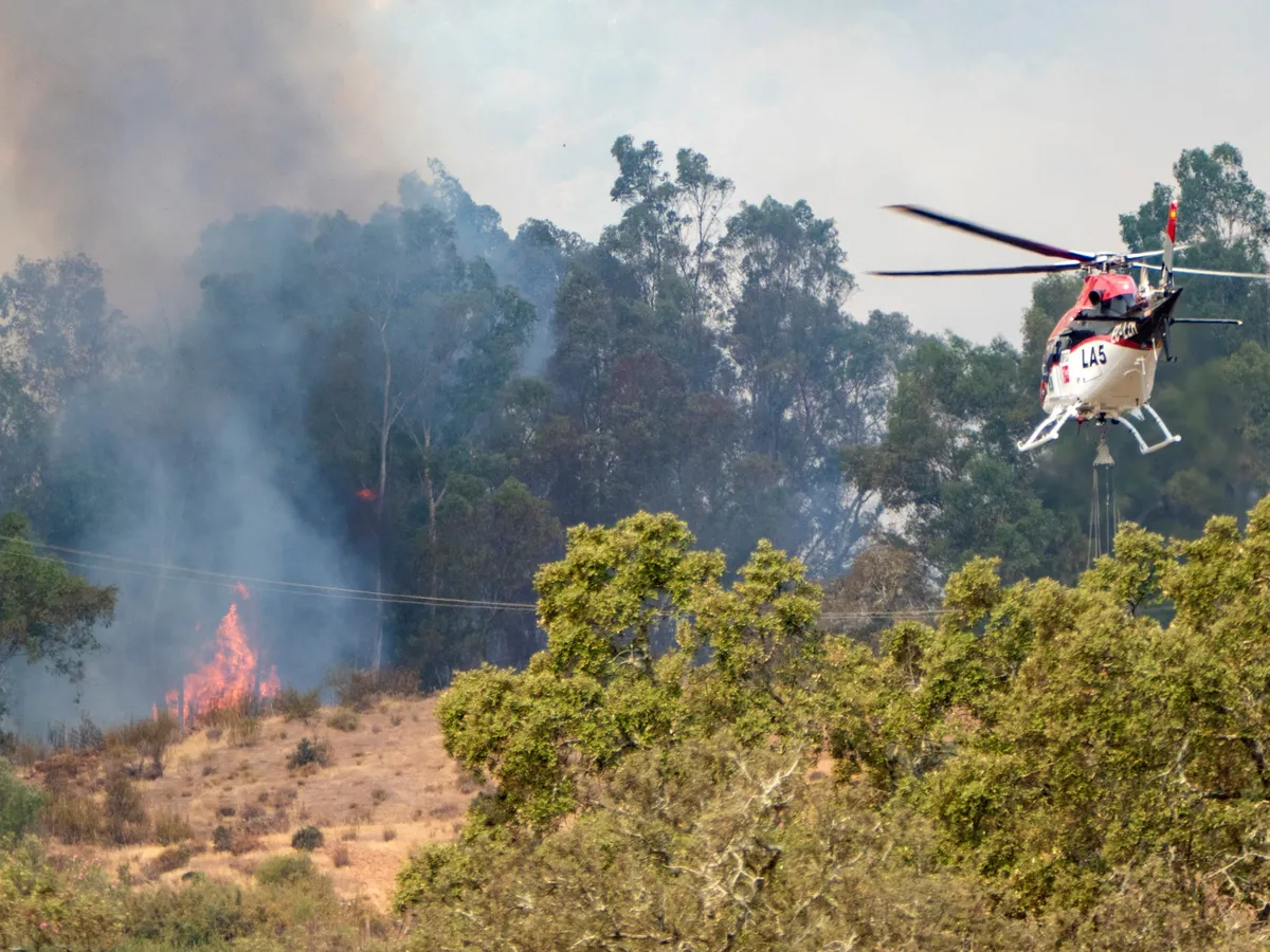 Spain and France battle raging wildfires, face high risk of more