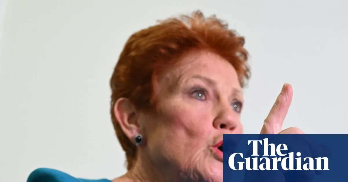 Pauline Hanson says domestic violence prevents police from dealing with ‘real crime’ in unearthed interview