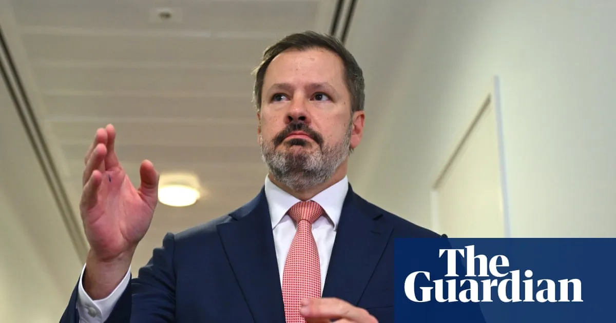 Husic says Labor ‘allergic to dissent’ as he breaks ranks on key government positions at party conference