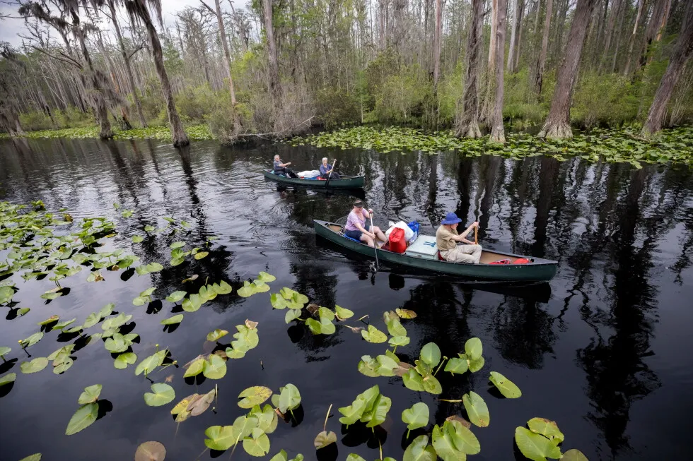 The Okefenokee is about to be honored, but some locals aren’t celebrating