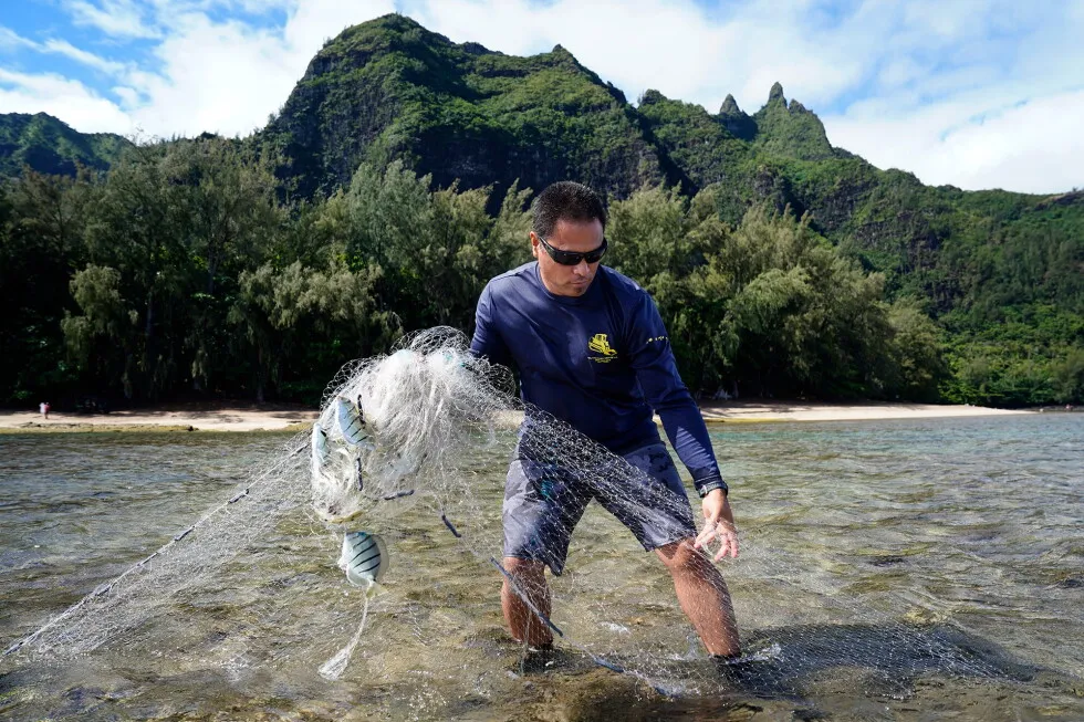 Community Control Of Kauaʻi Fishery In Hawaii Is Showing ‘Remarkable’ Results