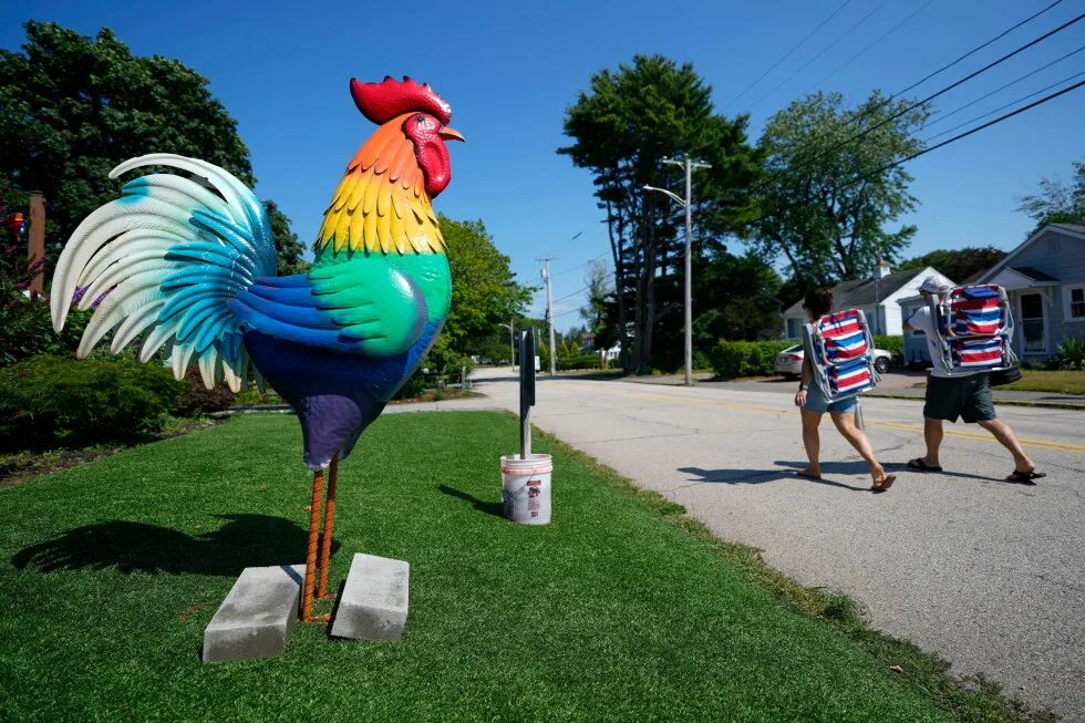 Giant metal roosters spread autism acceptance in Maine after town zoning spat