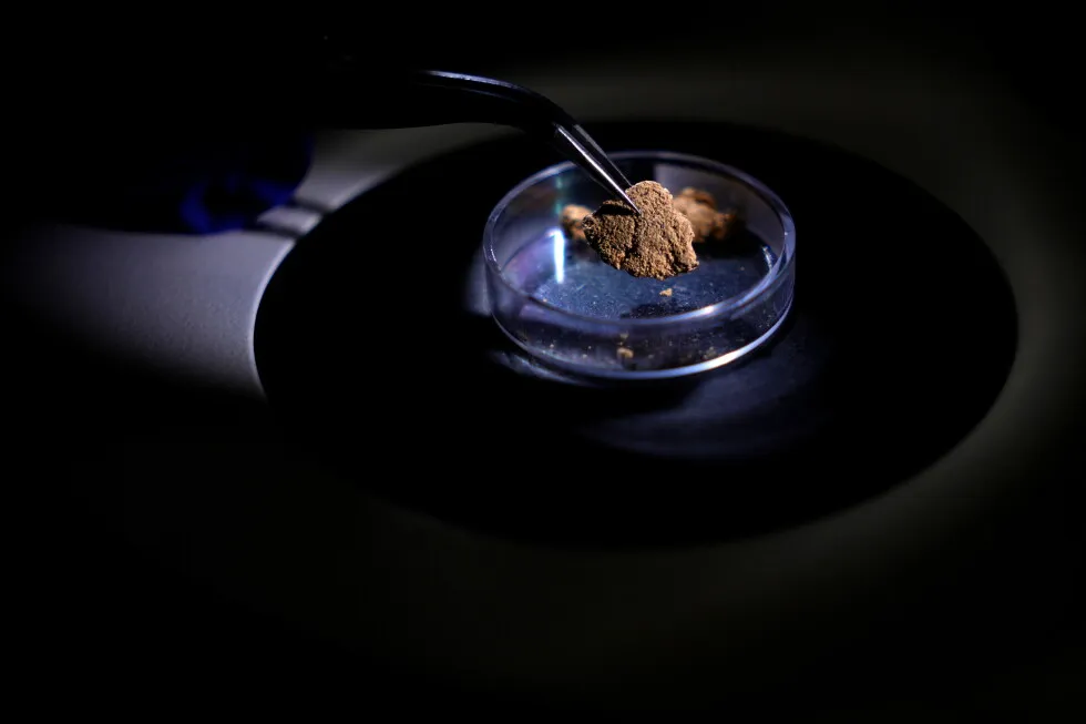 Brazil uses forensic science to trace gold’s origin and tackle illegal mining in the Amazon
