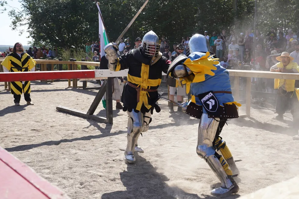 With swords, axes and shields, fighters go head-to-head in medieval combat world championship