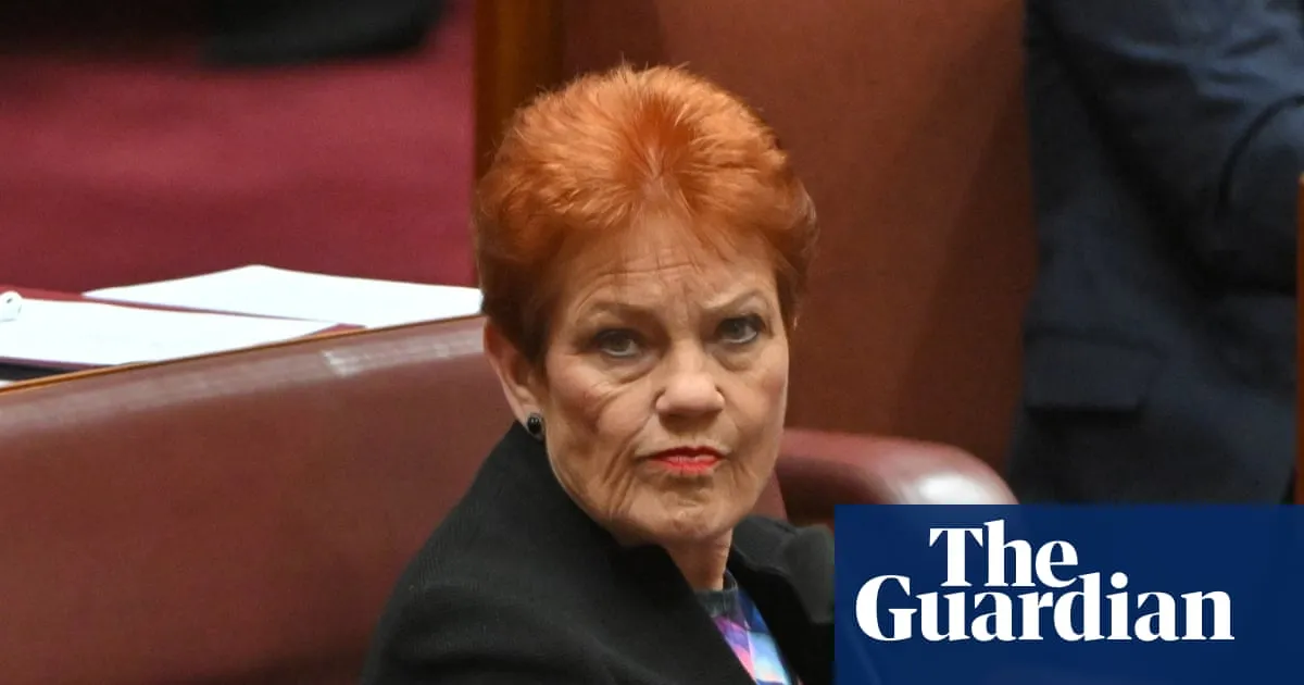 Pauline Hanson’s domestic violence comments were no stumble
