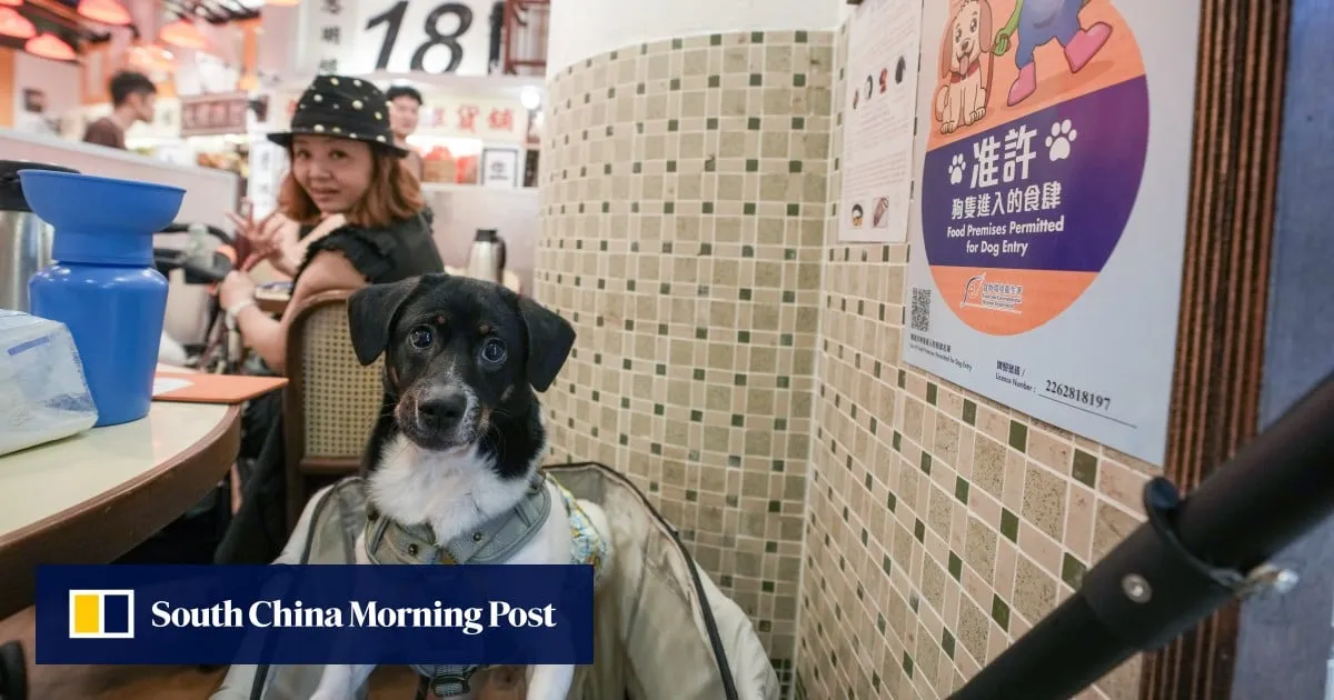 More than 30 restaurants pull out of dog-friendly scheme, 70 warnings issued