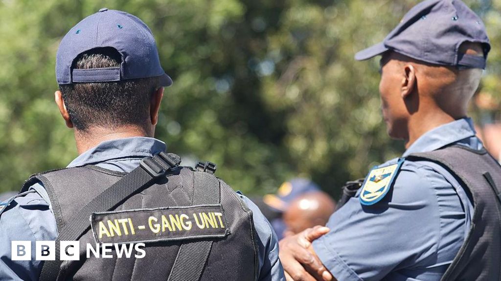 South African police not yet able to defeat gangs, minister says
