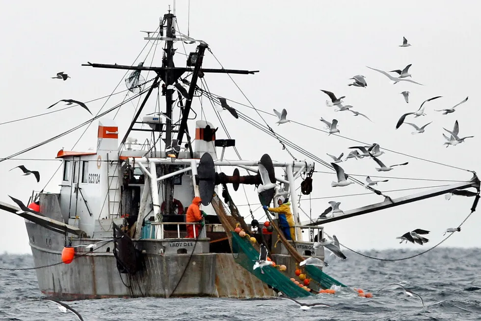 NOAA report finds Gulf of Maine warming slowed for now, but ecosystem remains unstable
