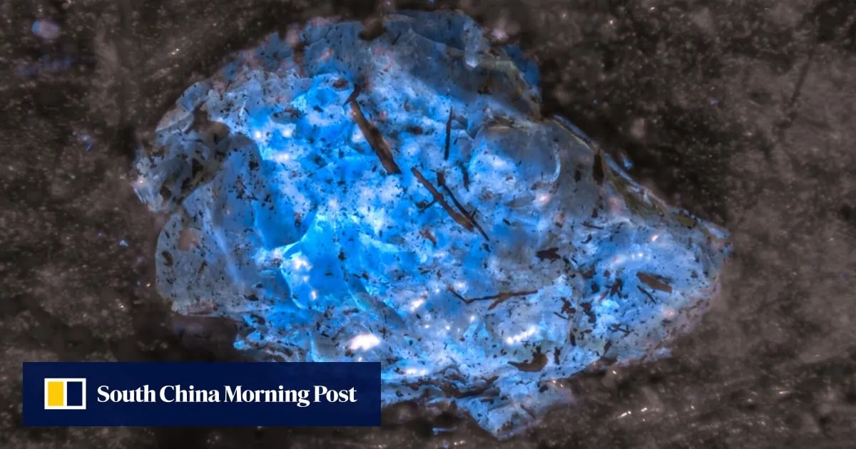 China team unearths world’s oldest amber, hidden in ancient Xinjiang coal seam