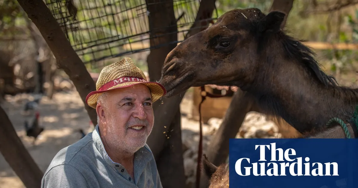 A dog saved Houssein Hamze from a bomb. When war returned, he stayed to care for Lebanon’s animals