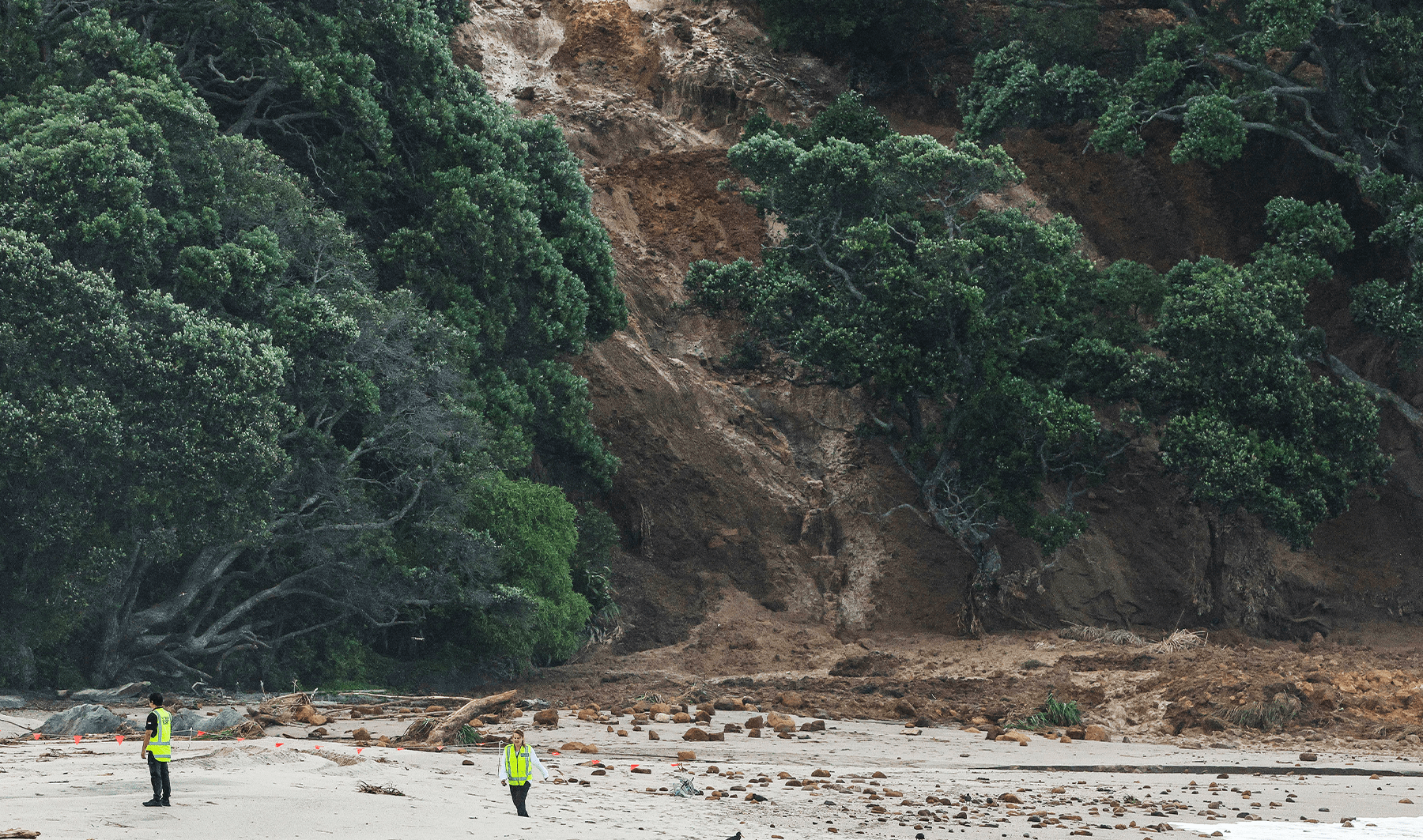 Several missing after landslide at popular tourist spot in New Zealand