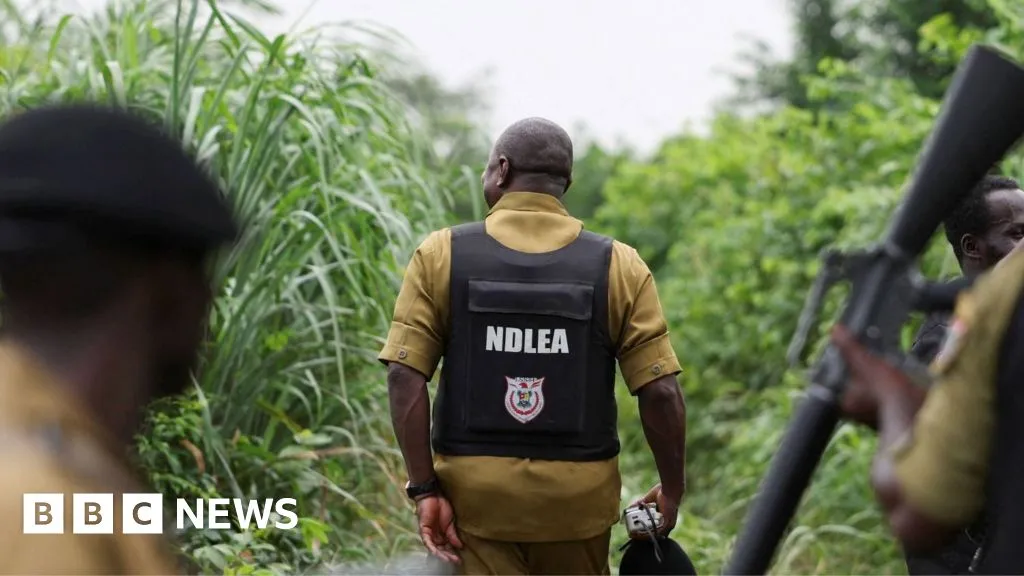 How Mexican drug cartels have outsourced meth labs to Nigeria