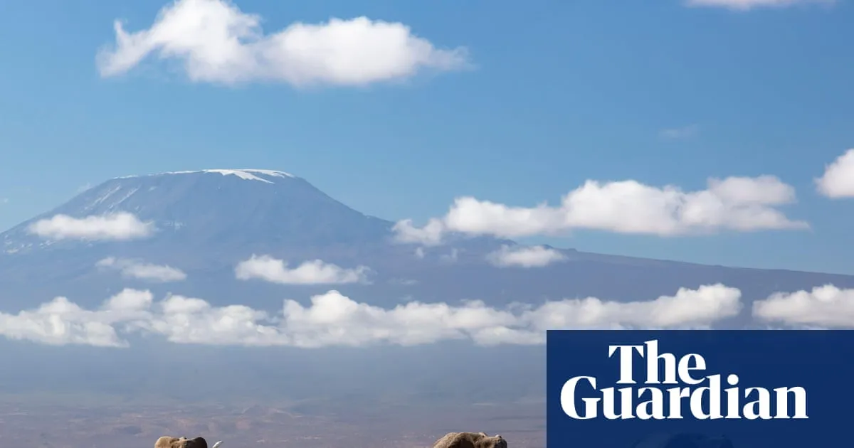 Kenya investigating unexpected deaths of 15 elephants in national park