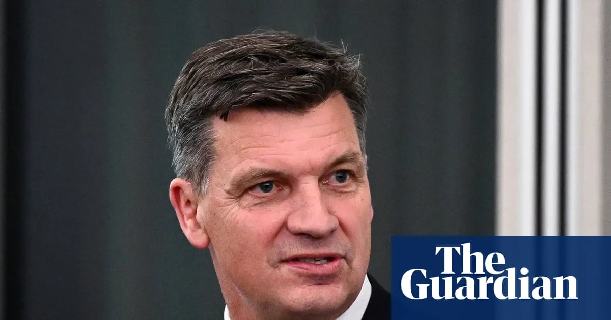 Angus Taylor insists he made no payments to conservative Liberal group amid Icac investigation
