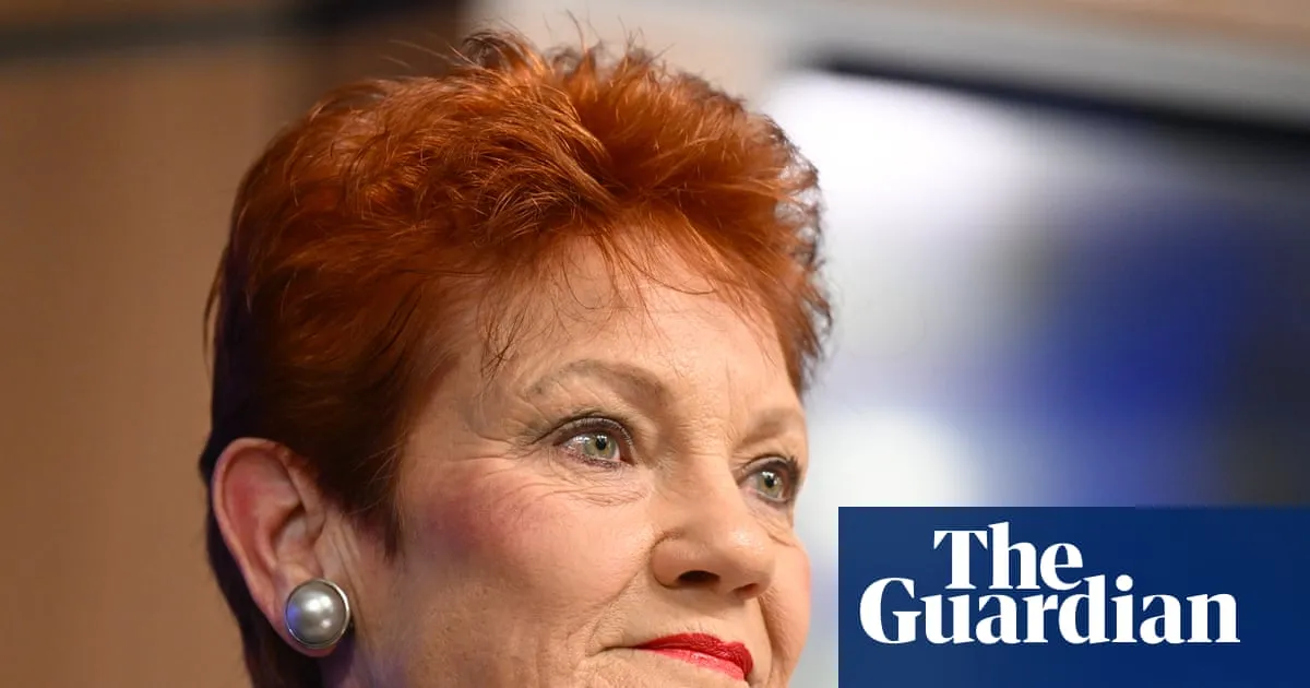 One Nation faces being struck off in Queensland after failing to file audited financial statements