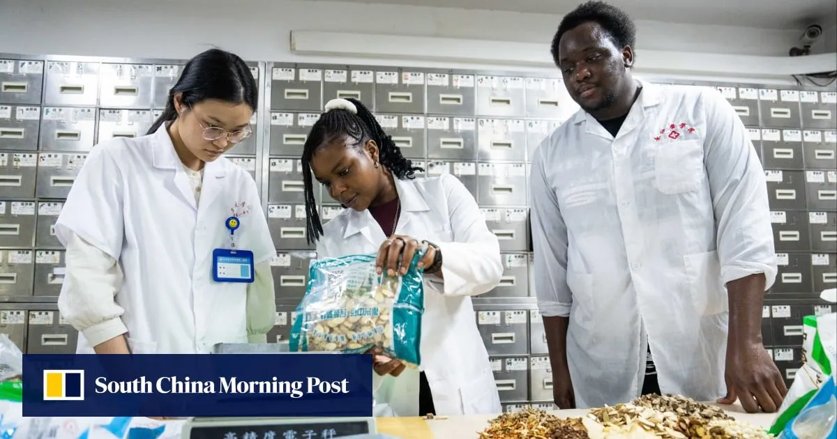 Spurned by the US, African students turn to China for a university degree