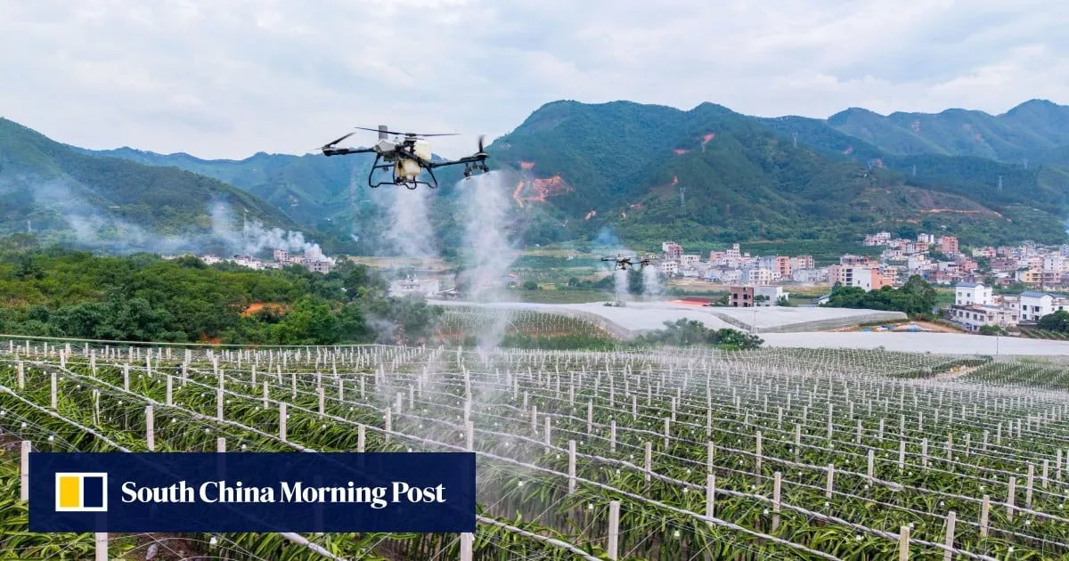 China’s drone-farming boom eyes emerging markets as agriculture automation spreads