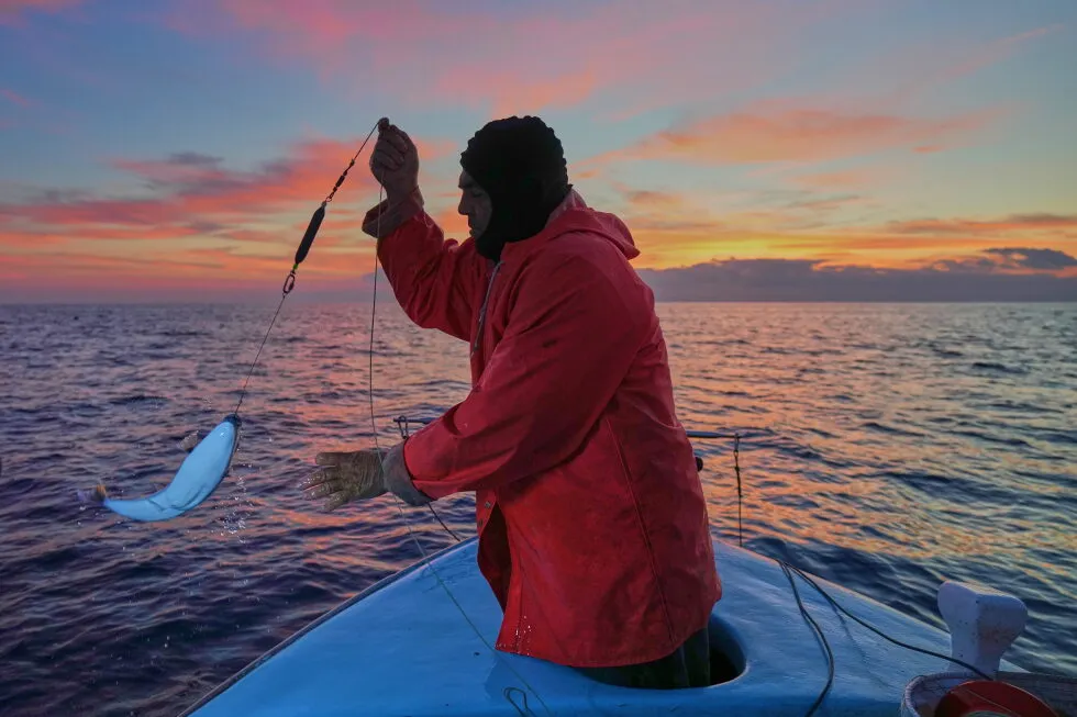 The Mediterranean’s warming waters are drawing hundreds of invasive species