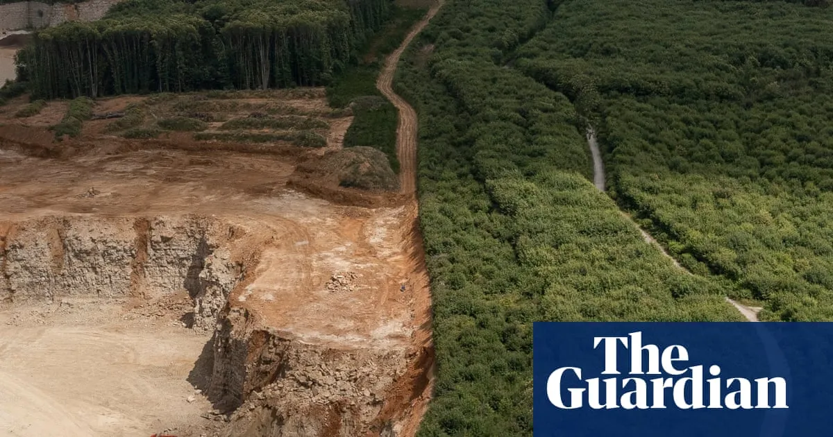 ‘It’s irreplaceable’: Fury over Reform plans to expand quarry in ancient Kent woodland