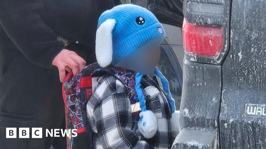 ICE detains 5-year-old and father in Minnesota, lawyer says