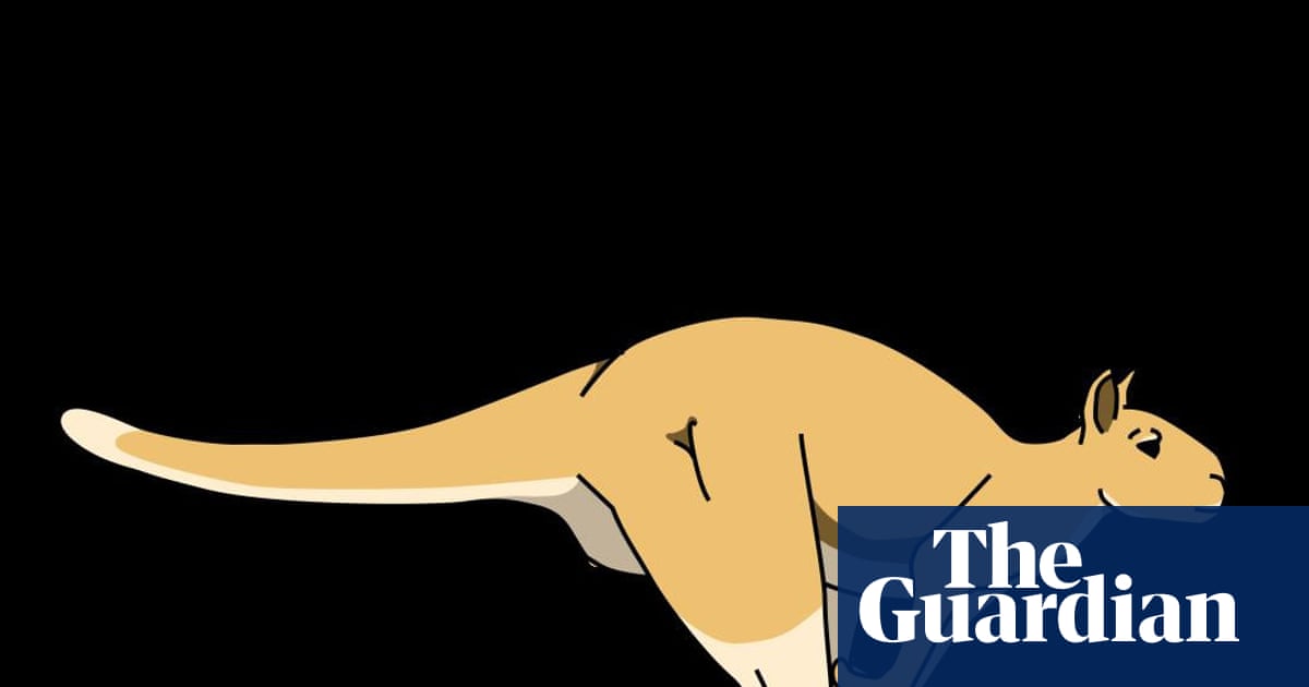 Kangaroos’ giant ancestor probably able to hop despite 250kg weight, scientists say