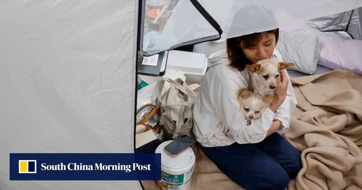 Japan quake evacuees with pets find refuge at Kumamoto animal hospital