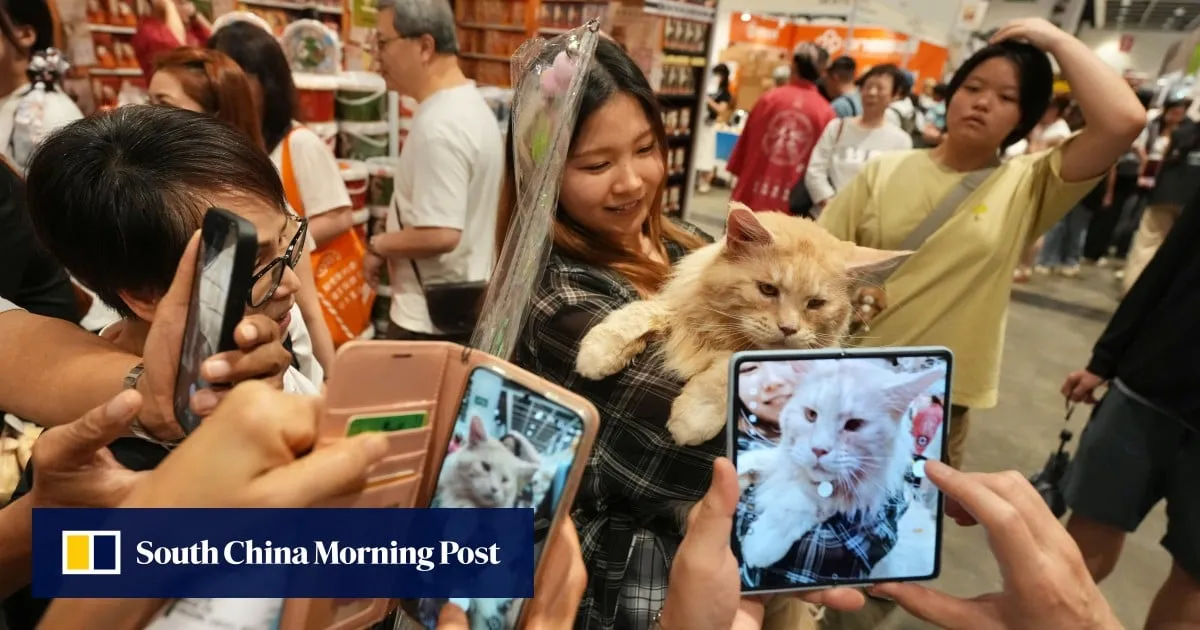Spend HK$10,000 a month on your pets? Why not, say cat lovers at Hong Kong expo