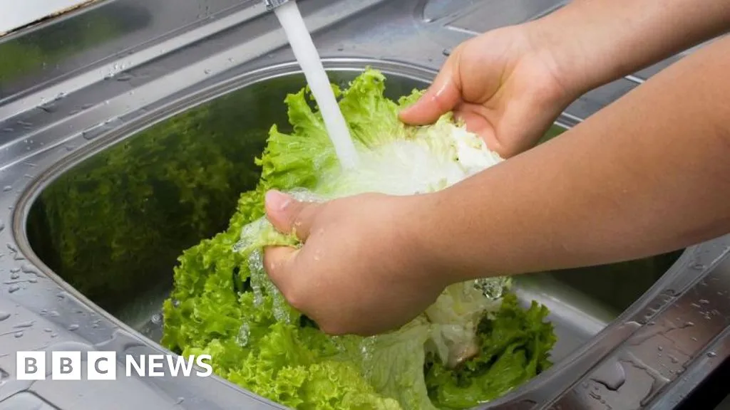 US reports first two deaths linked to 'explosive diarrhoea' outbreak