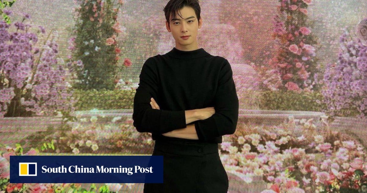 South Korean brands drop campaigns with K-drama star Cha Eun-woo amid tax allegations