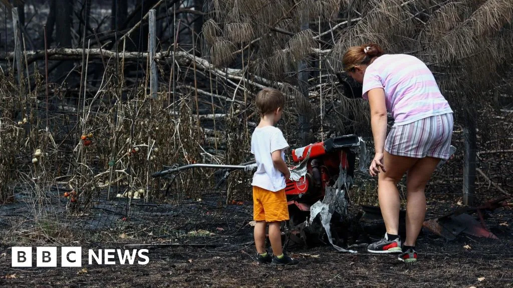 France wildfires reveal hundreds of WW2 shells in village