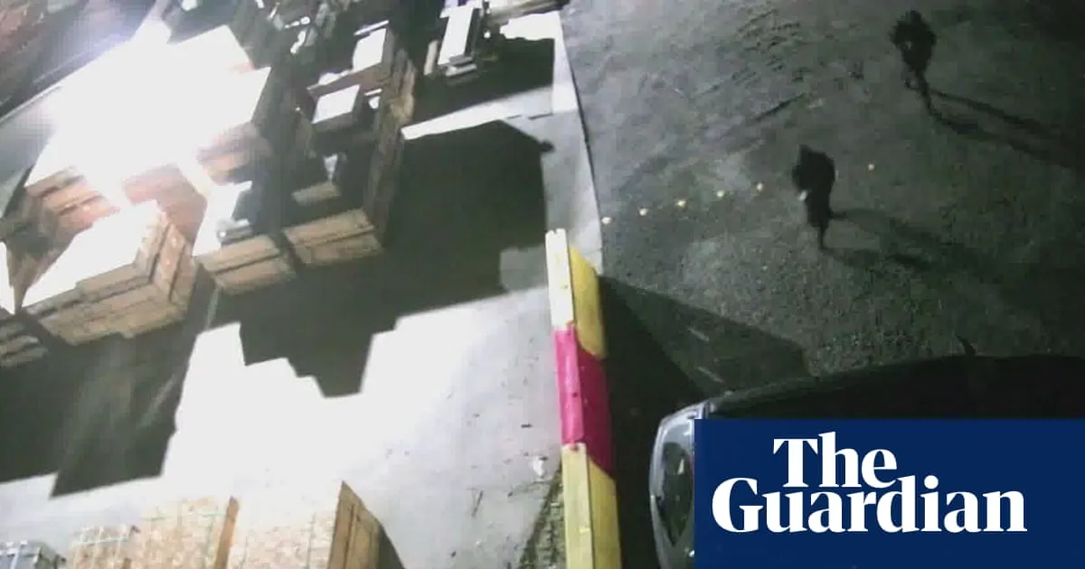 Melbourne anti-weapons protest being investigated as terrorist act by ‘far-left extremists’