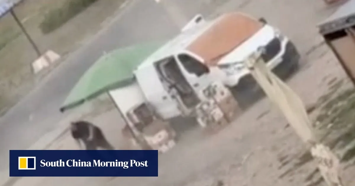 Ukraine slams Russian ‘drone safari’ after video shows vegetable seller being chased down