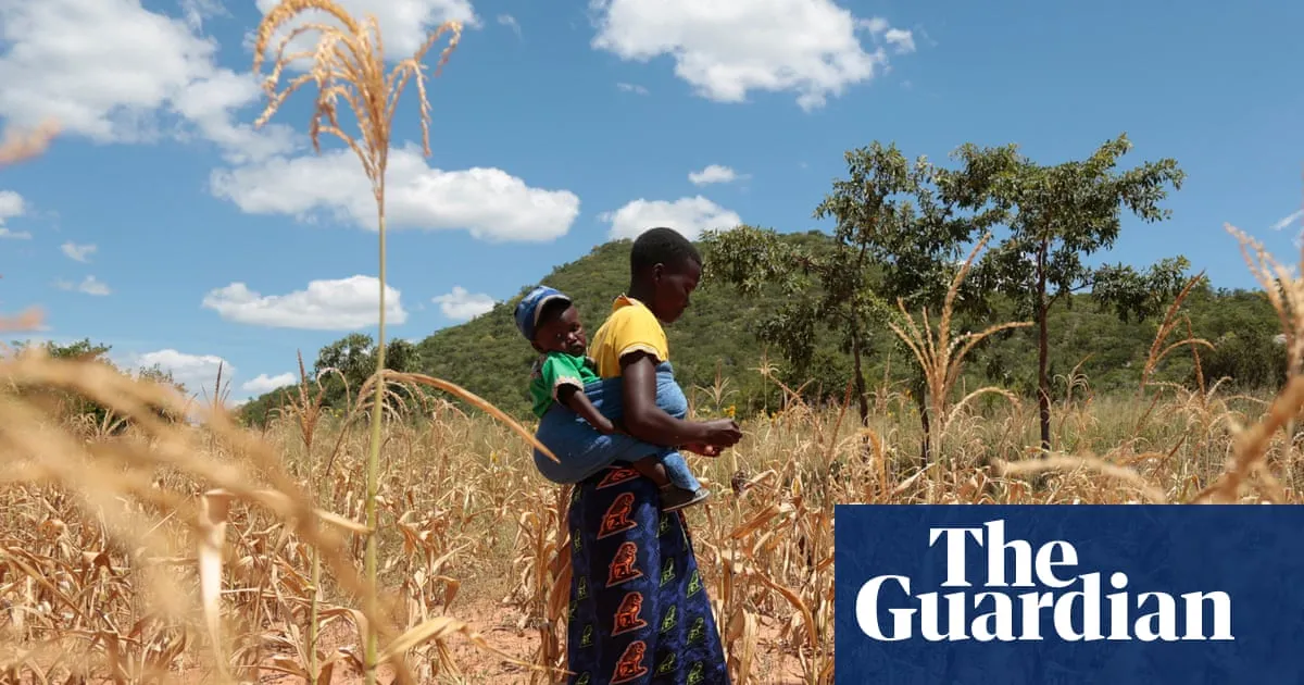 El Niño could push 50m people into acute hunger before end of next year