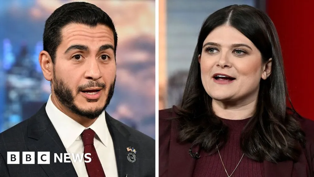 Left-wing political outsider wins Democratic Senate primary in Michigan